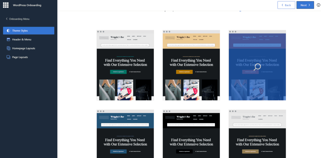 Screenshot of Bluehost onboarding using WonderSuite.