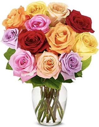 Flowers Dozen Rainbow Roses With Vase 