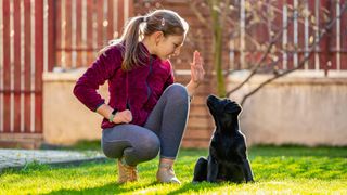 Healthiest dog treats for training: Girl training her puppy in the backyard