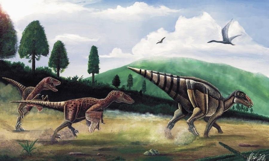 Hunted duck-billed dinosaur