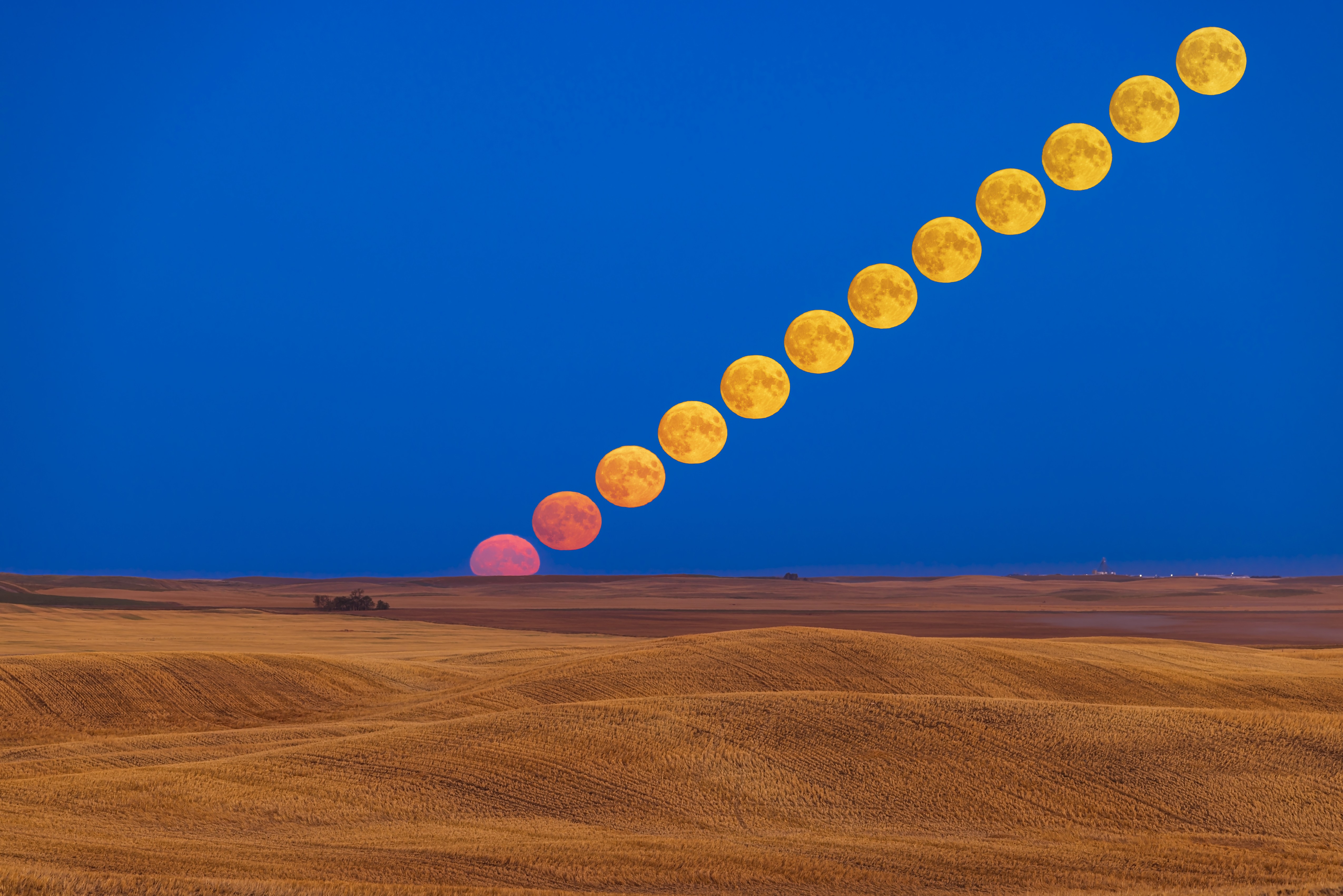 The rising Full Moon of September 9, 2022, the Harvest Moon for 2022, coming up over a rolling harvested prairie field near home in southern Alberta, on a very clear evening.This is a composite of 11 exposures blended with Lighter Color mode onto the base layer exposure of the Moon just coming up and the sky and ground. The subsequent exposures were shot at increasingly shorter shutter speeds to preserve the colour and brightness of the Moon's disk (ie. exposing for the Moon not the sky or ground). Shot at 1 minute intervals, but exposures taken every 3 minutes were selected for the composite except at the start when atmospheric refraction makes the Moon rise faster than it does later in the sequence. All were shot with the Canon R5 and RF70-200mm lens at 200mm.