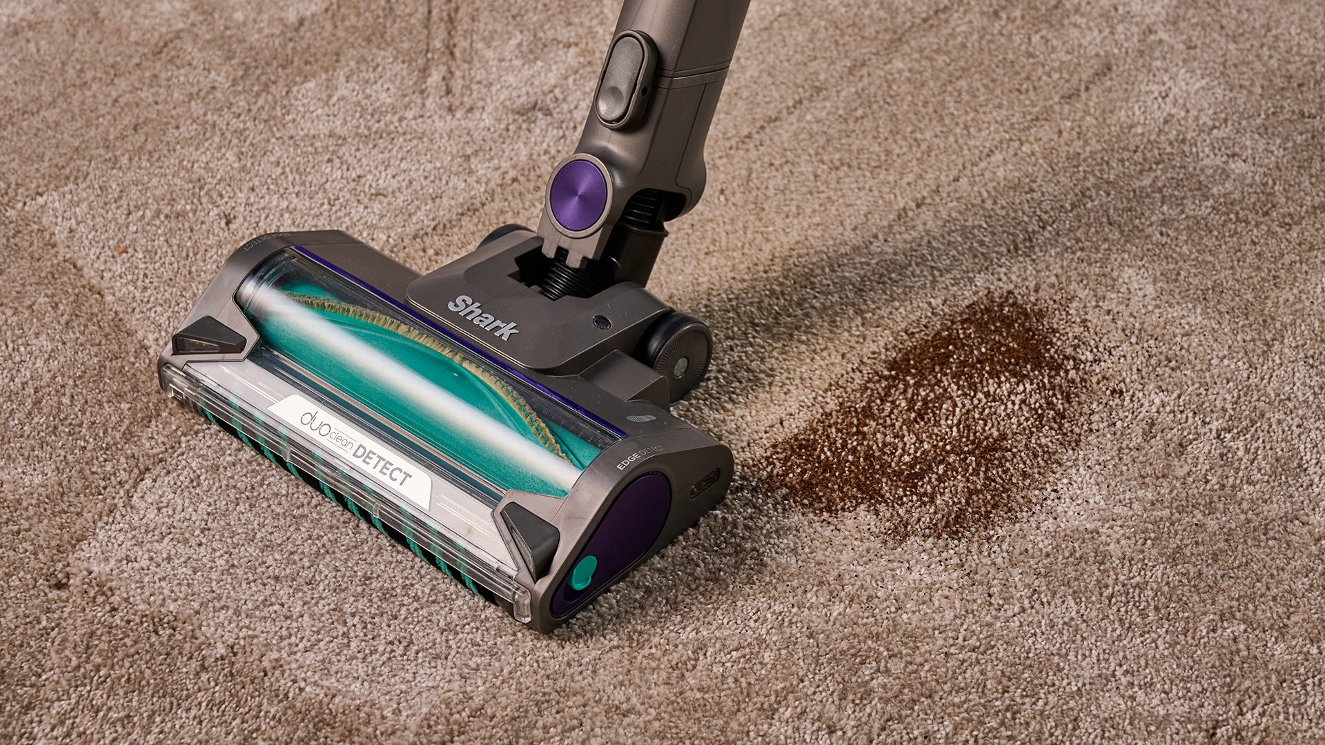 Shark PowerDetect cordless vacuum clearing dry tea from a carpet