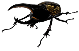 Hercules Beetle Google Search 3D model