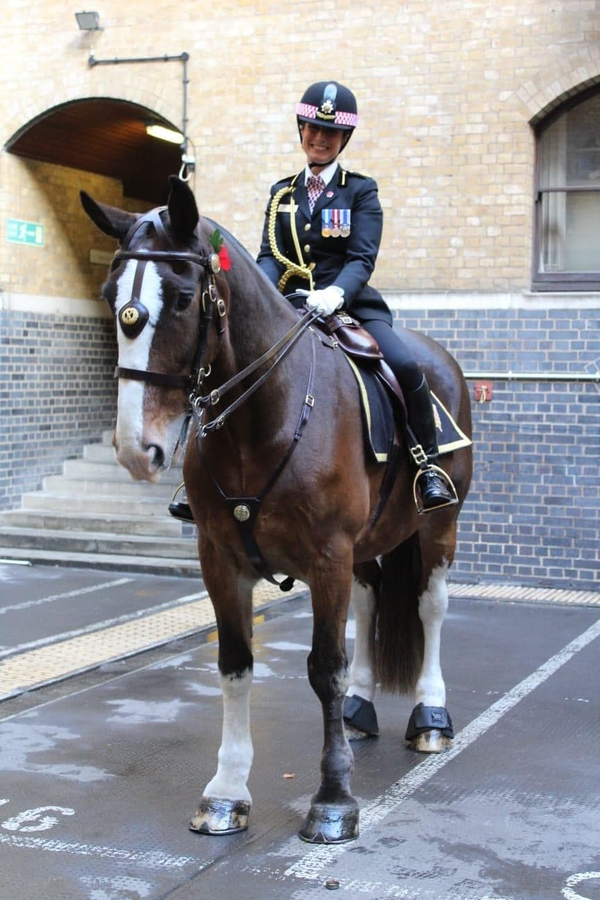Lionheart-CommanderGyford-hislastLordMayorsShow.jpg