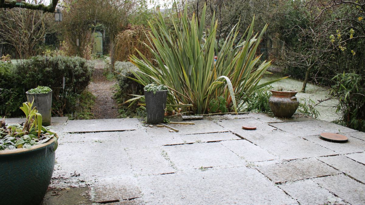 Forget salt — this one natural item is the key to de-icing your patio