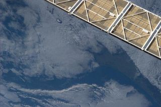 Volcanoes in Auckland, New Zealand from ISS