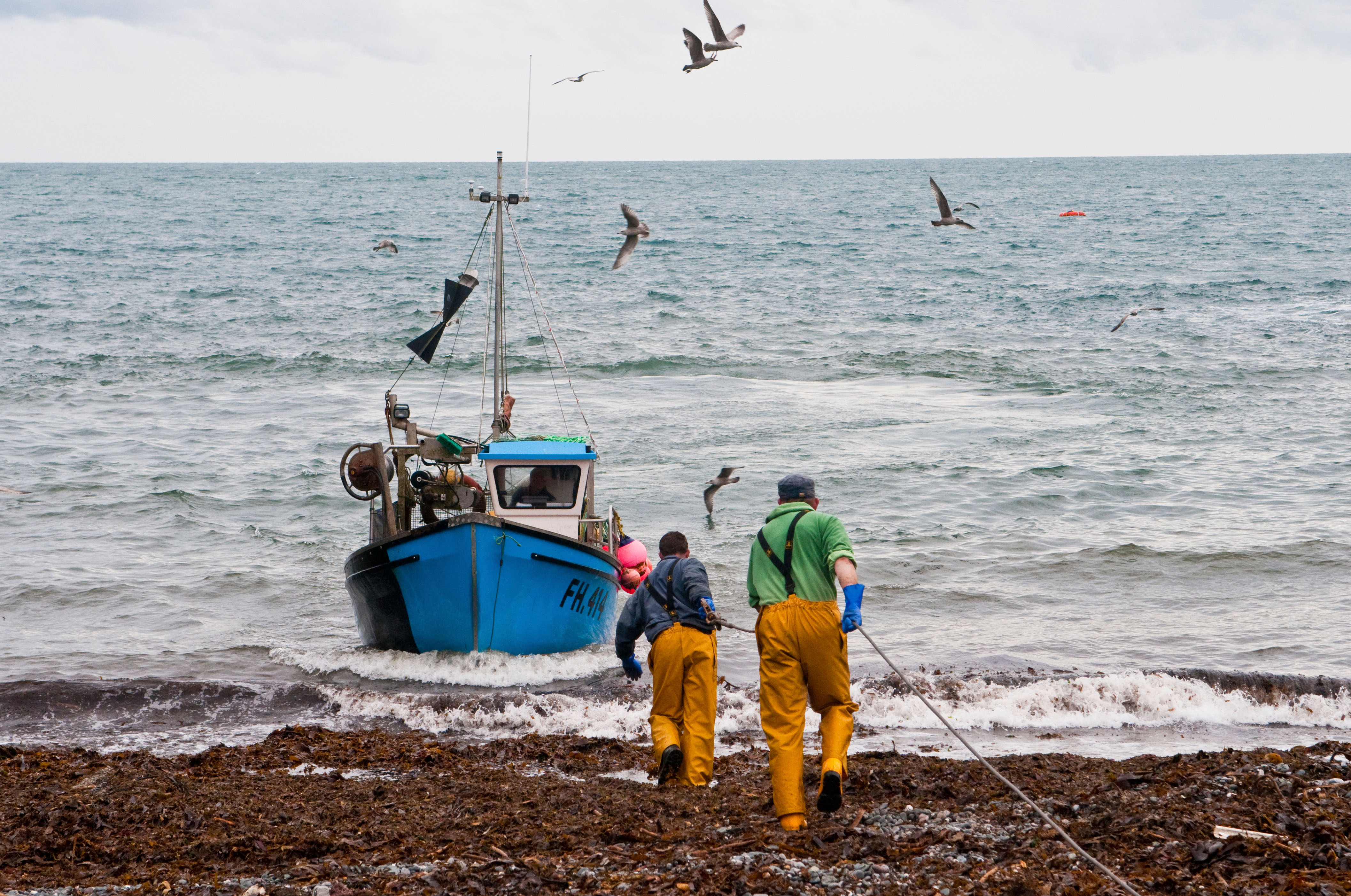 Fishermen in Cadgwith, Cornwall, helping bring in a crab fishing boat