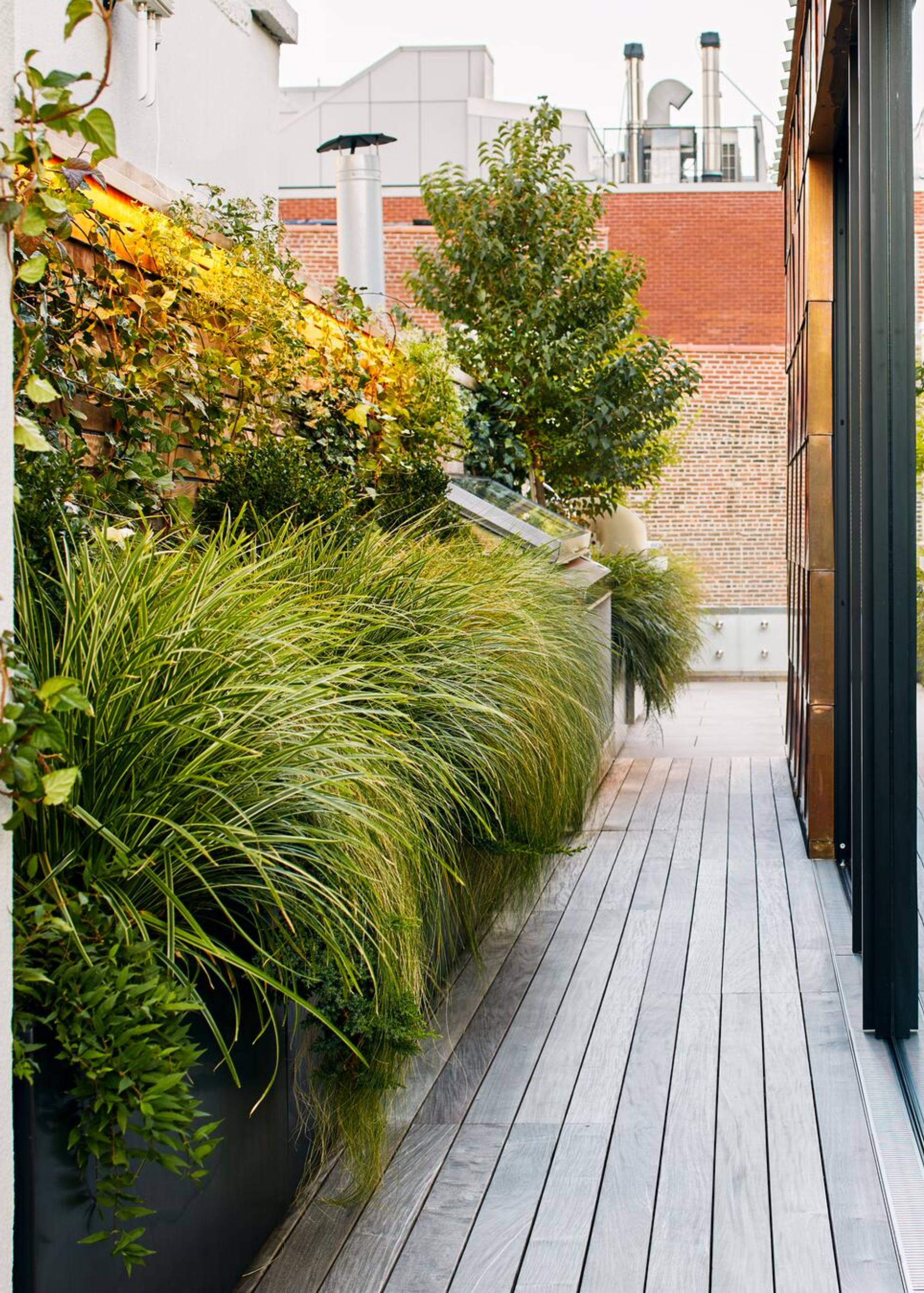 A backyard with ornamental grasses running along the exterior wall