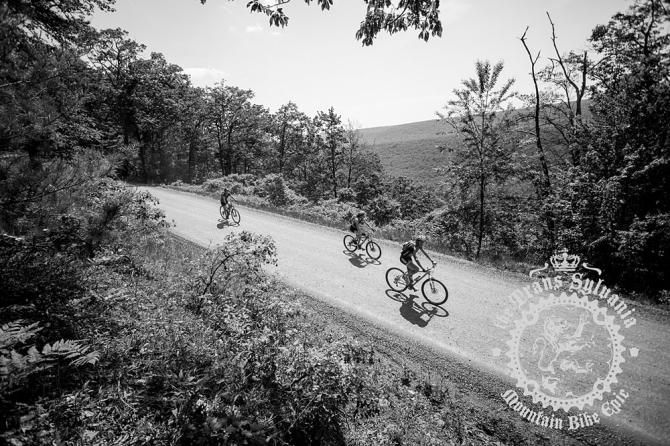 Riders enjoying the view on a section of gravel road.