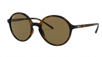 Ray-Ban RB4304 Round Frames