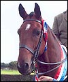 ShelfordRupertbdth.jpg