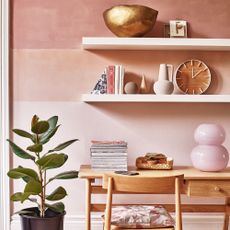 Pink ombre walls in home office with white floating shelves and plant on floor