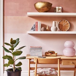 Pink ombre walls in home office with white floating shelves and plant on floor