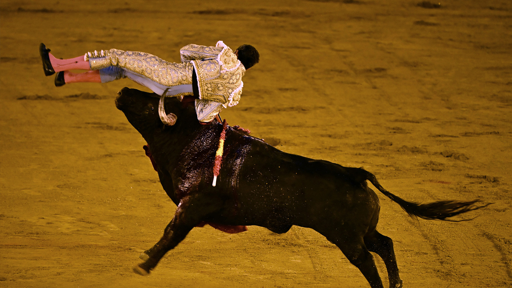 Bullfighter David de Miranda is hit by a Garcigrande bull during the first bullfight of the season in Seville, Spain