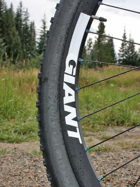 This mid-depth 29" rim design uses shorter spokes to yield a stiffer wheel.
