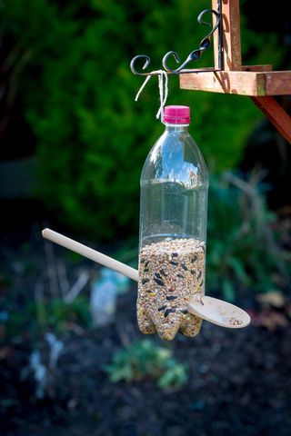 DIY birdfeeder made from plastic bottle
