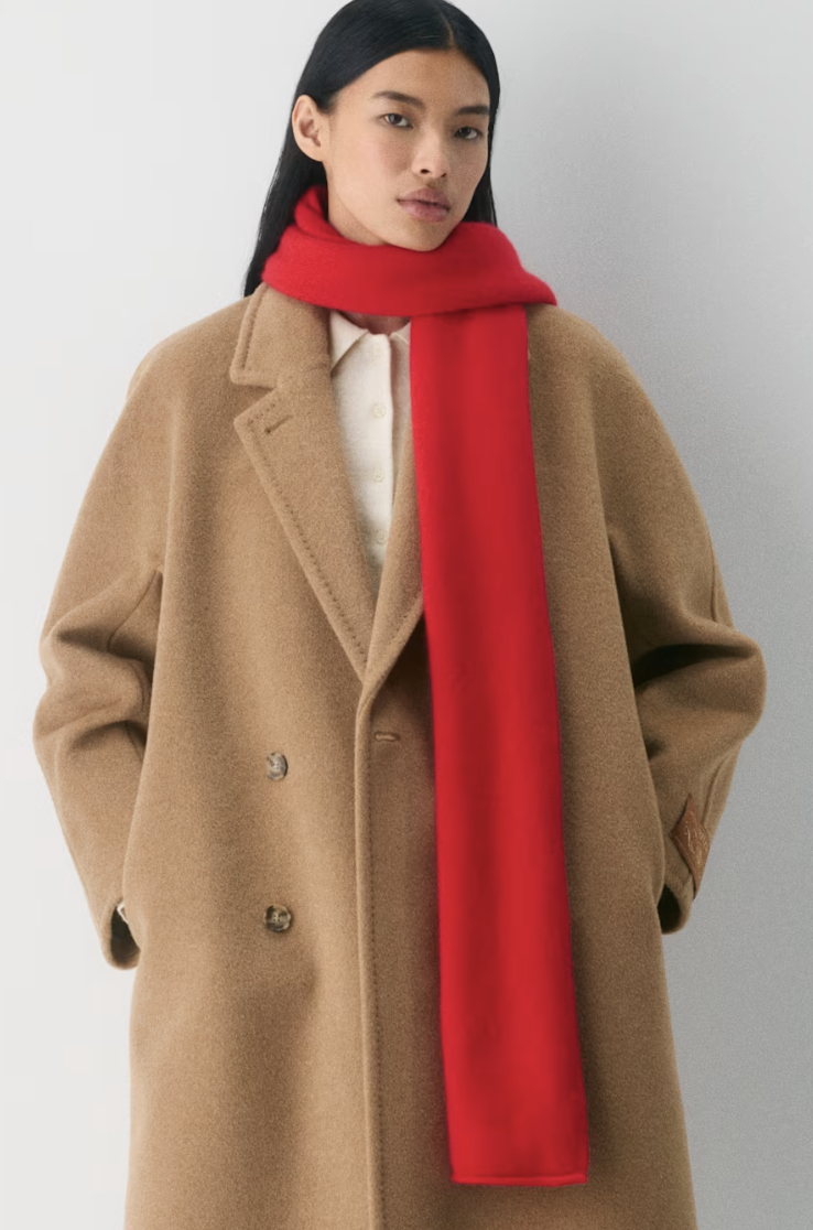 Aritzia, Cashmere Scarf