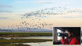 Photo ideas: Capture flocks in flight 