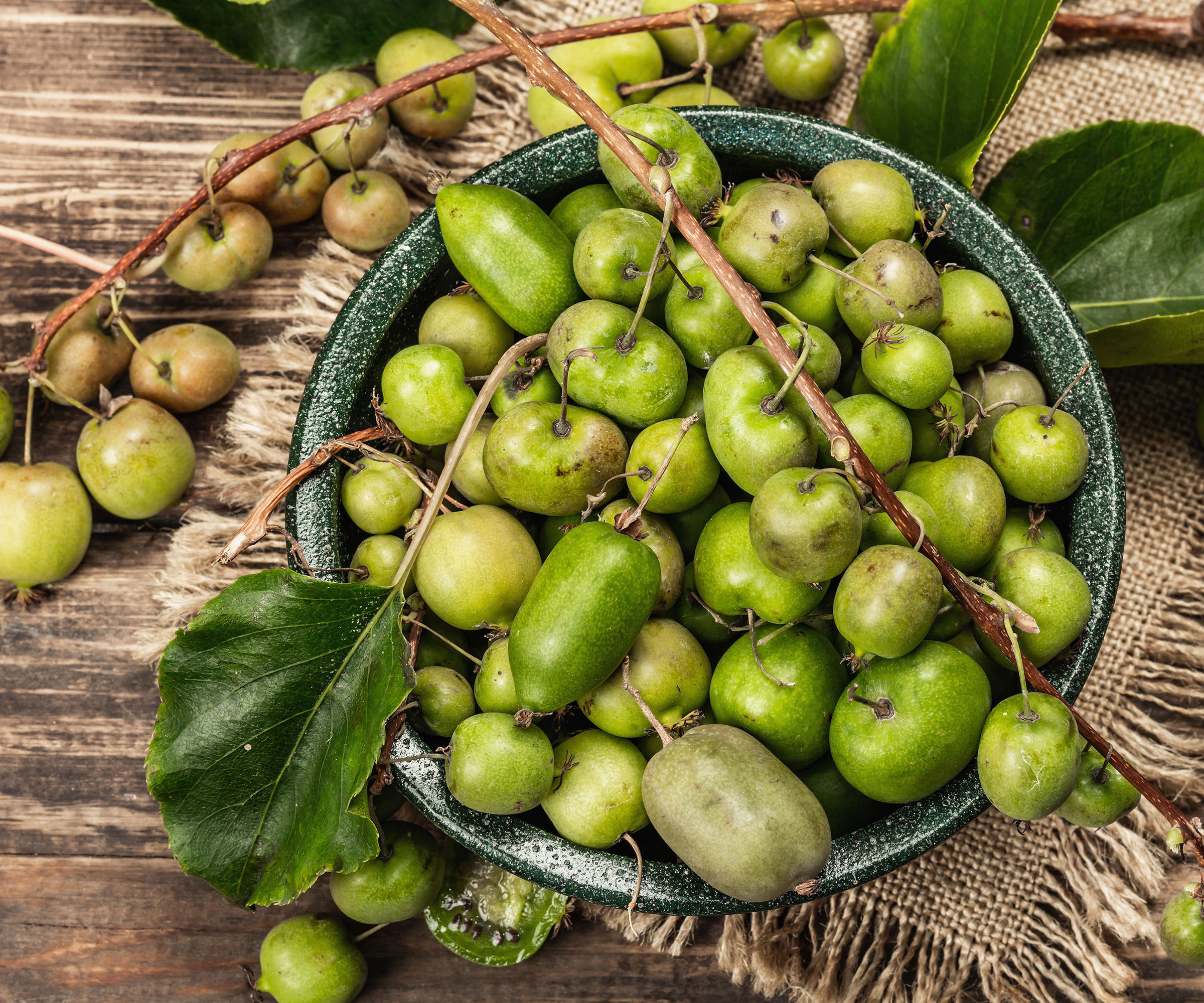 hardy kiwi fruits in bowl after harvesting