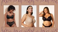 some of the best bras for large busts