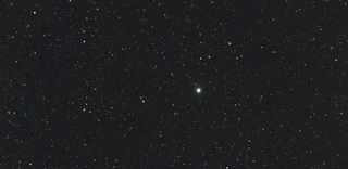 Nova Centauri 2013, new stars, old stars