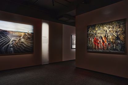 Installation view of ‘Helene Schmitz: Thinking Like a Mountain’, at Fotografiska New York