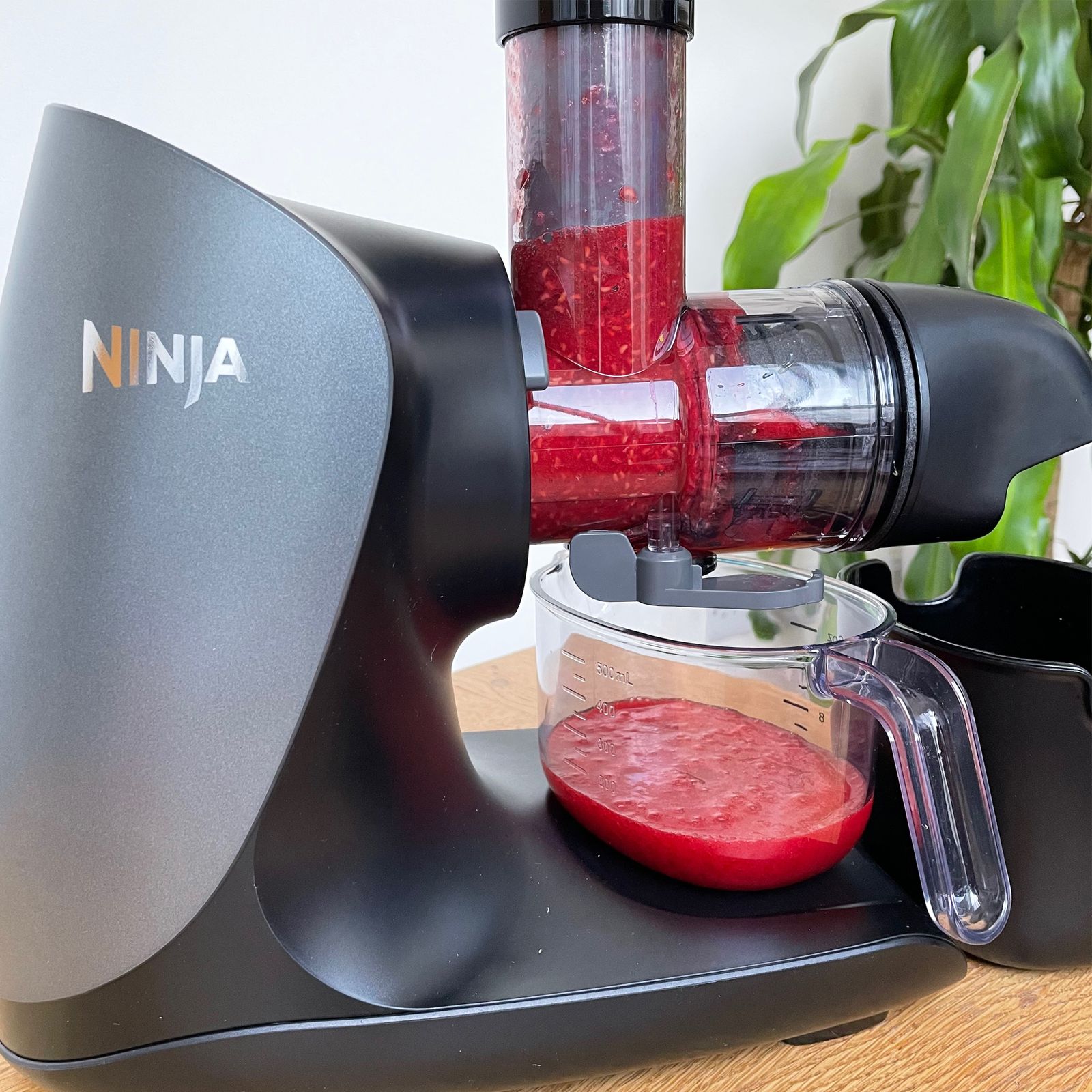 Ninja Cold Press Juicer an affordable cold press juicer from a trusted