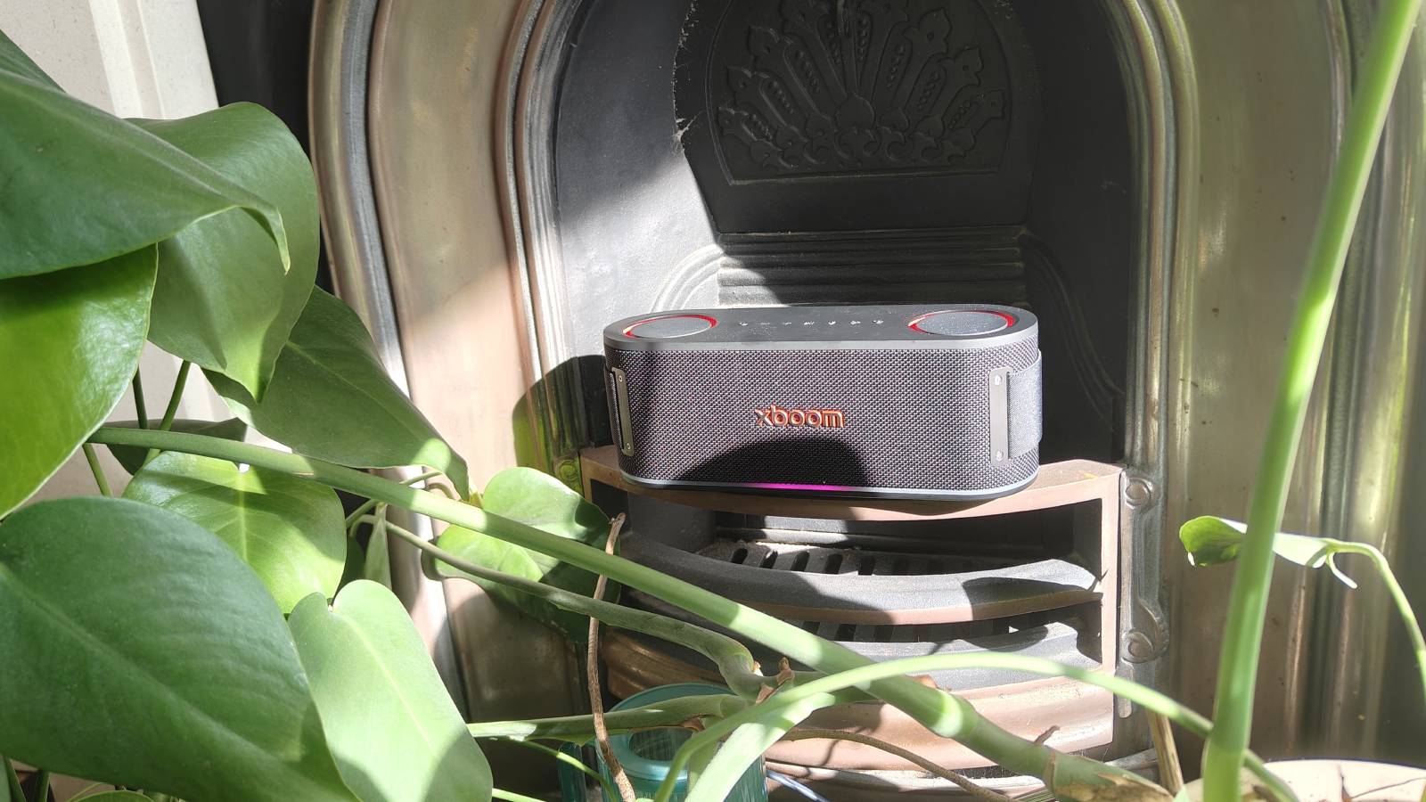 The LG xboom Bounce by a leafy plant on a shelf.
