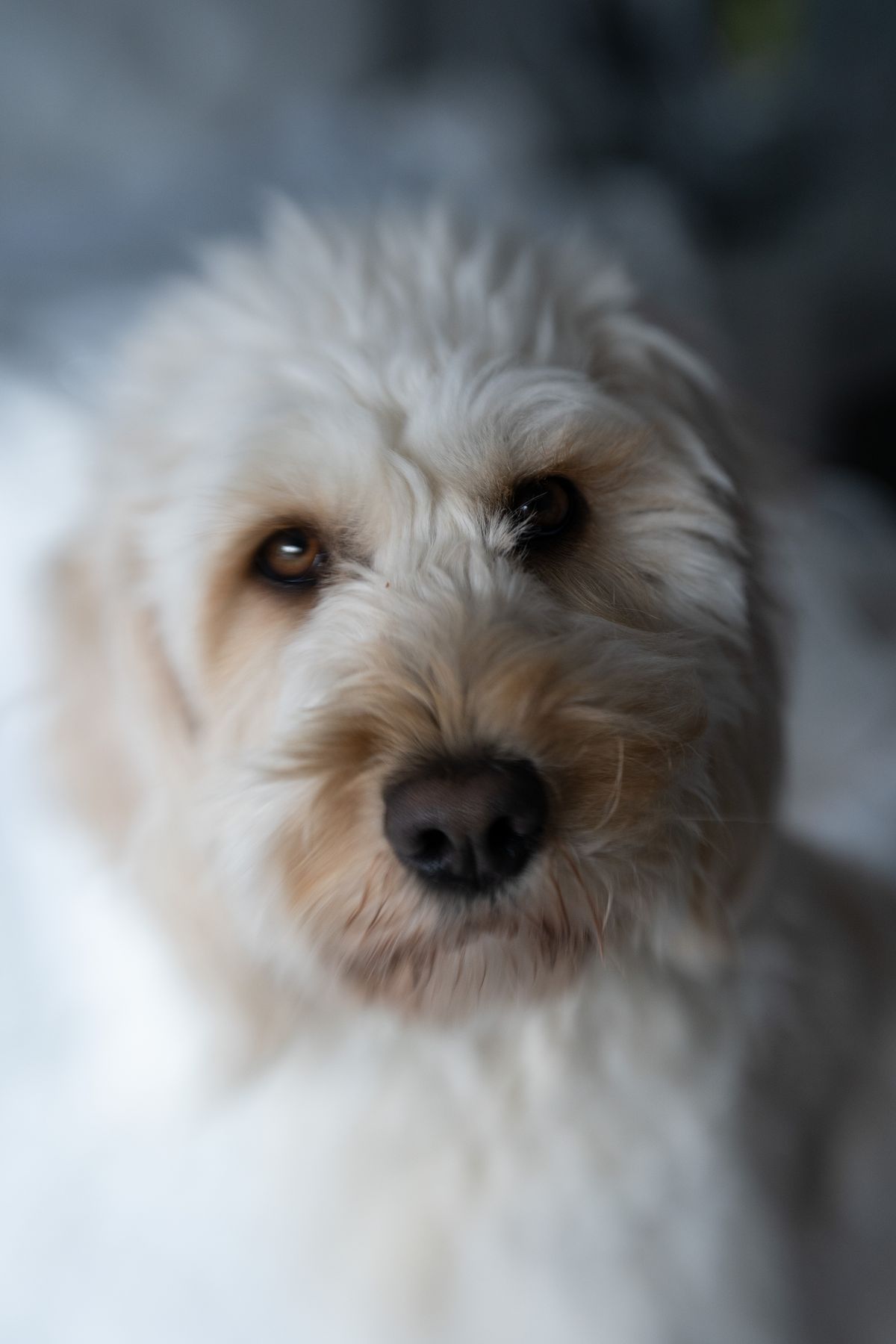 Lensbaby Double Glass II Optic review