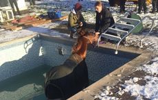 PoolRescue2.jpeg