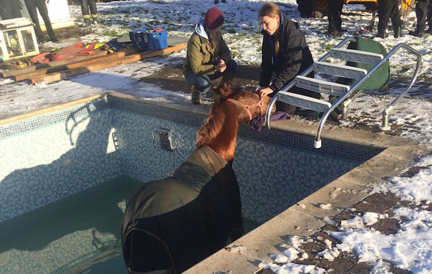 PoolRescue2.jpeg