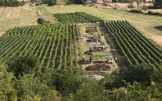 Archaeologists found traces of cheese lipids in pottery excavated at the archaeological site of Pokrovnik in Croatia.