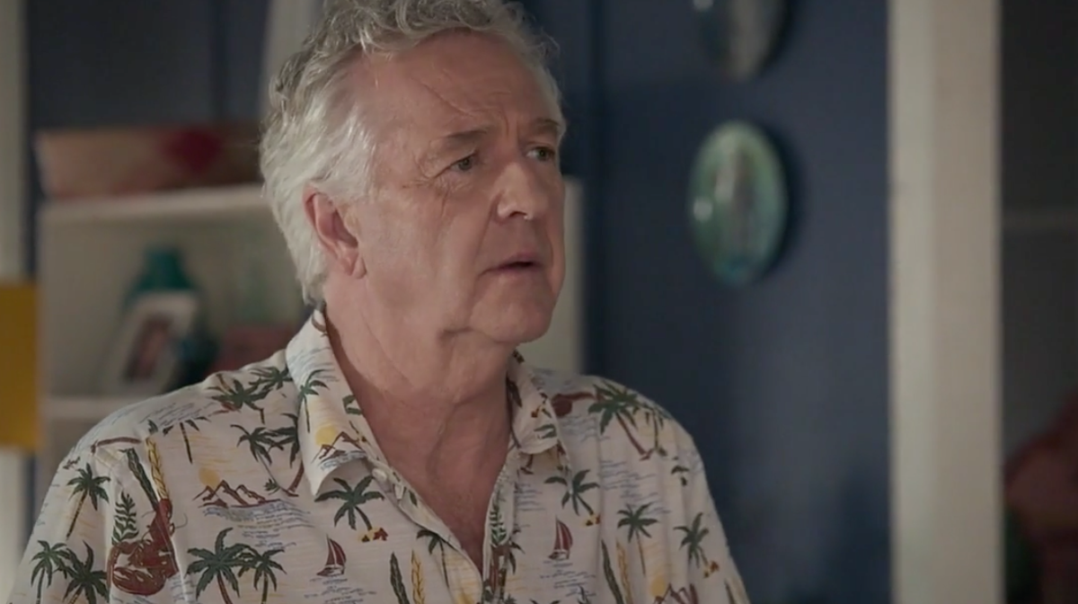 John Palmer in Home and Away.