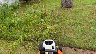 STIHL RM 655 VS Lawn Mower in front of overgrown flowers