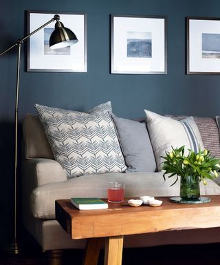 grey living room with grey sofa