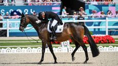 TSF Dalera BB will retire soon