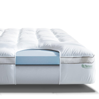 ViscoSoft Hybrid Lux 4” Mattress Topper: from $159.95$112.46 at Amazon