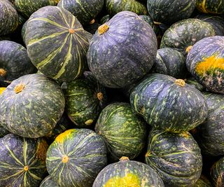 A pile of kabocha squash