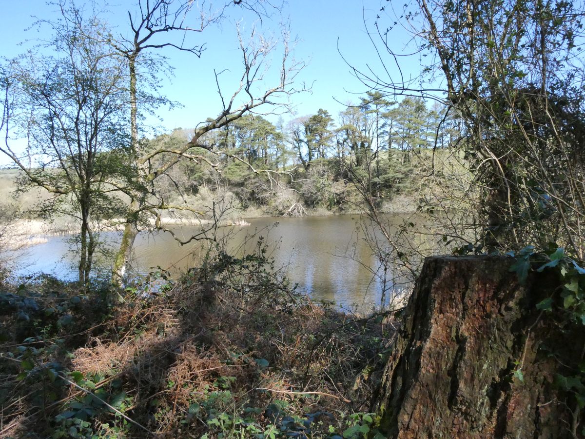 Picture of lake taken using the Panasonic Lumix ZS99/TZ99.