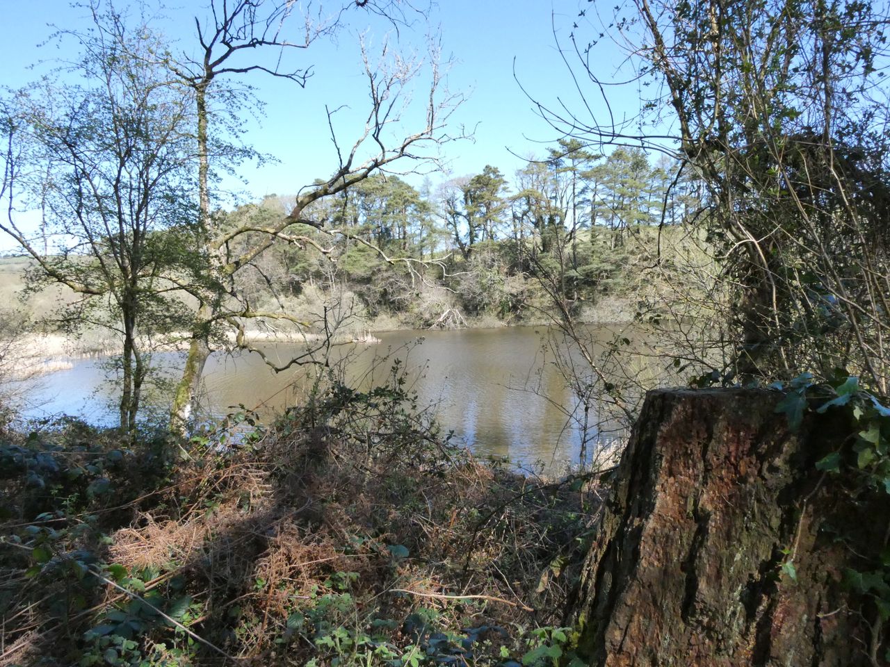 Picture of lake taken using the Panasonic Lumix ZS99/TZ99.
