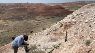 A researcher examines the Lava Creek Tuff in Wyoming. We see flat-topped mountains in the background.