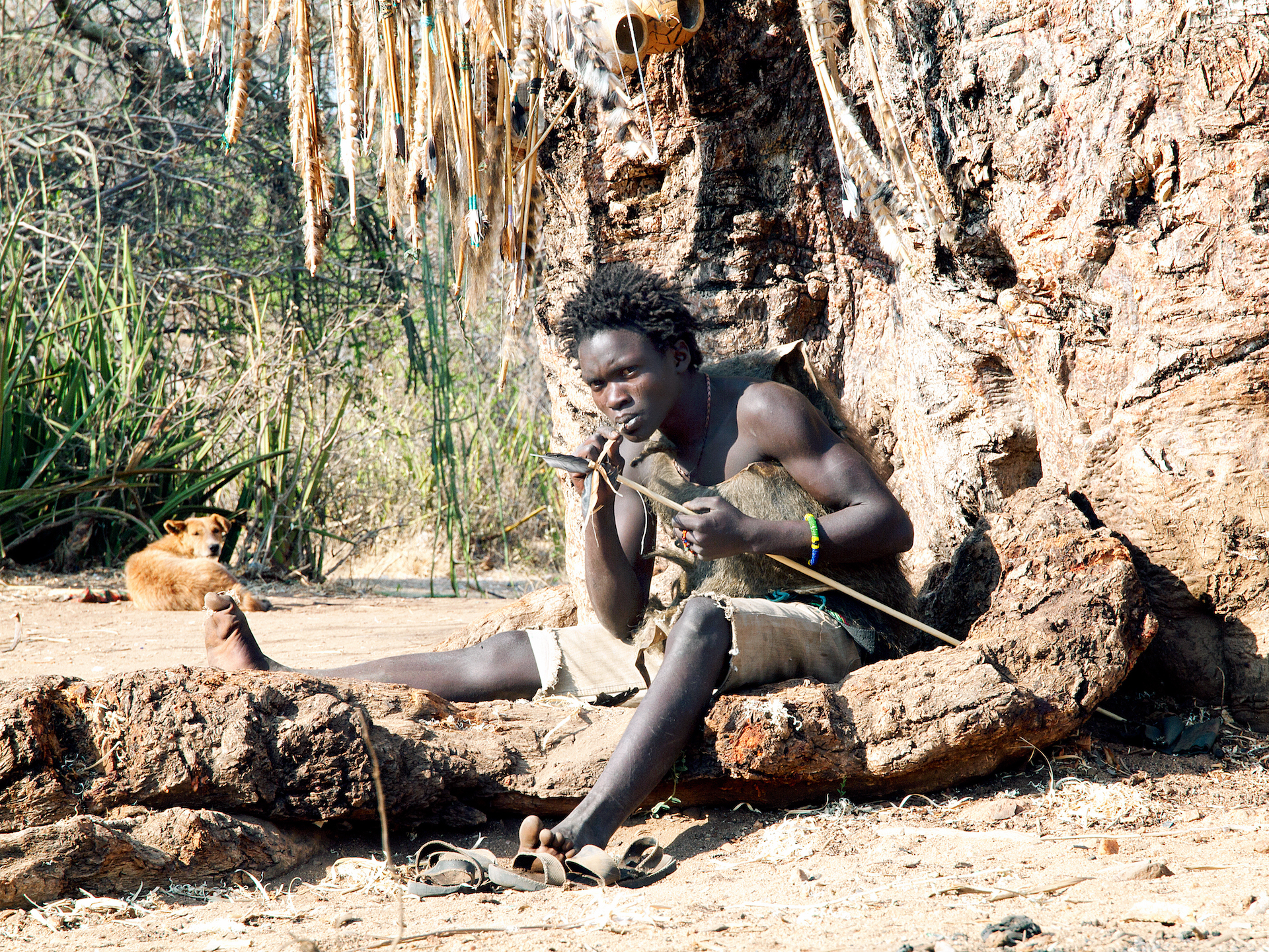 A Hadza young bushman making an arrow for his hunting bow