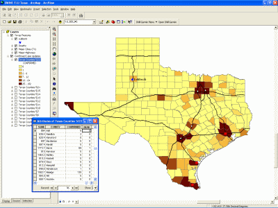 Texas Students Track Swine Flu