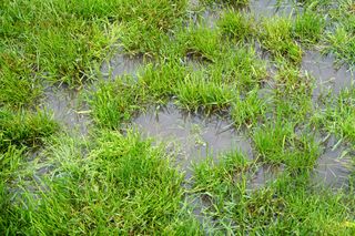 Surface water can cause damage to homes and gardens