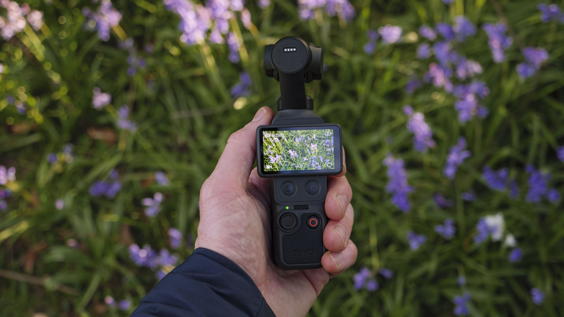 DJI Osmo Pocket 4 vlogging camera in the hand with natural background of bluebells