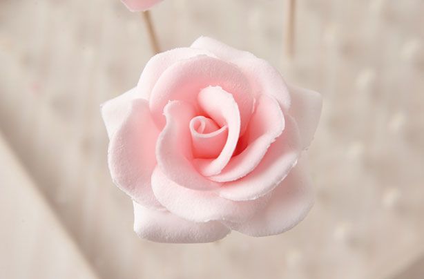 how to make sugar roses