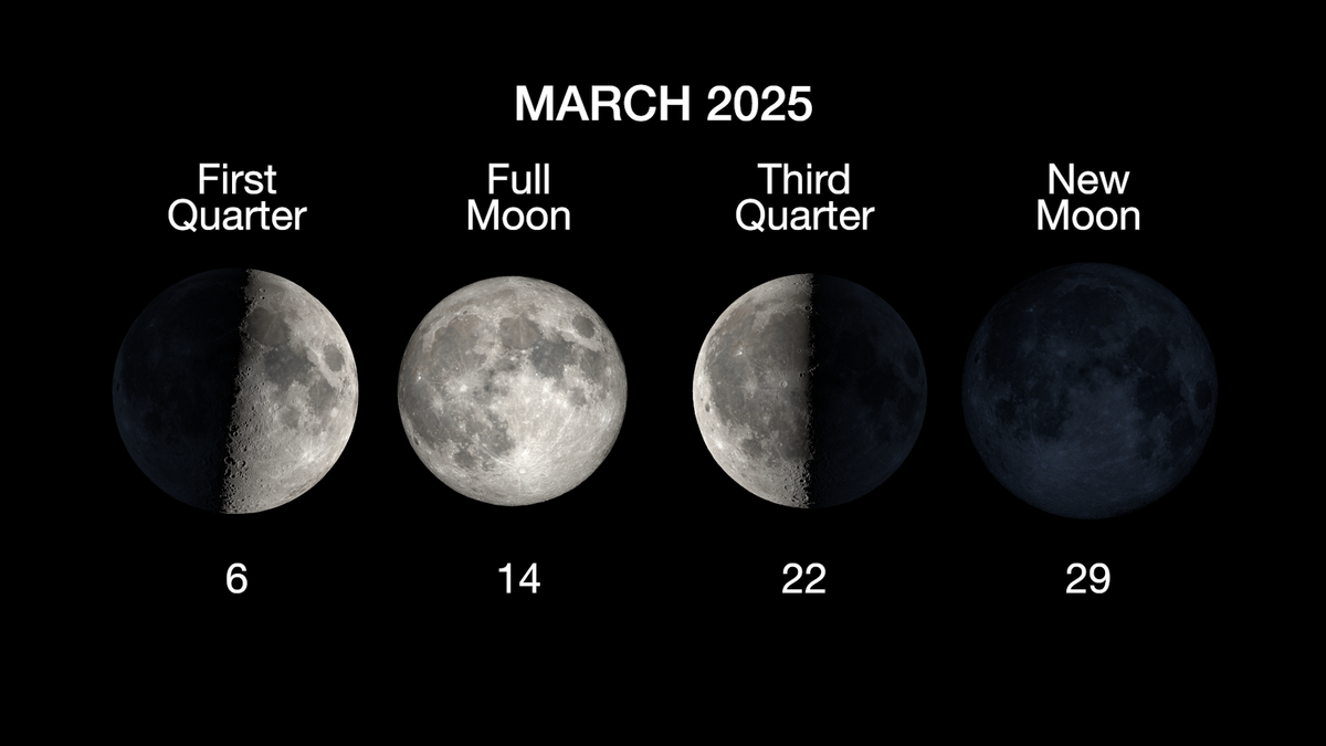 moon phases of march show 4 phases left to right first quarter March 6, full moon march 14, third quarter march 22 and new moon march 29.