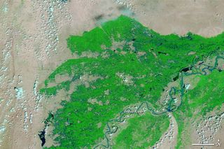 NASA's Aqua satellite acquired this image of the irrigation system in southern Pakistan on Sept. 1, 2012. Water appears light to dark blue; darker areas have deeper water. Vegetation is green, and bare ground appears gray or beige. Notice how much less water is present than in the image taken 20 days later.