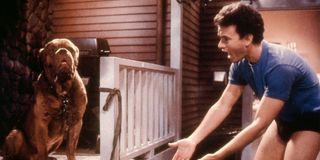 Beasley the Dog and Tom Hanks in Turner and Hooch