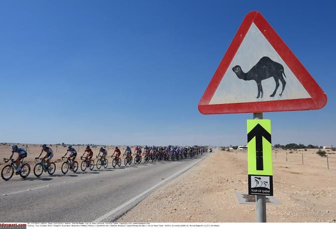 Camel crossing, a classic Tour of Qatar shot.